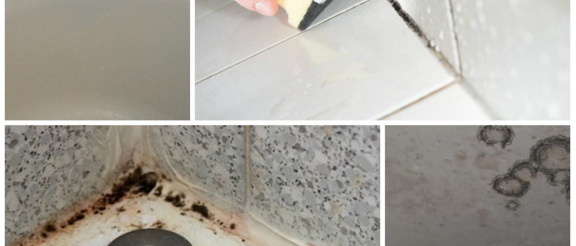 Как навсегда убрать плесень в ванной комнате